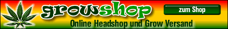 Groovy Headshop Growshop G�ttingen
